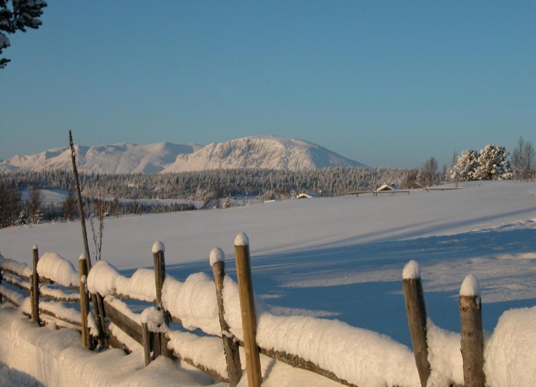 Fantastic And High Standard Apartment In Nordseter Lillehammer Ngoại thất bức ảnh